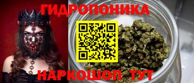 гидропоника Кунгур