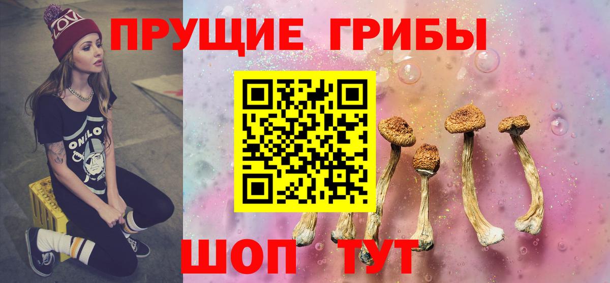 Галлюциногенные грибы GOLDEN TEACHER Казань