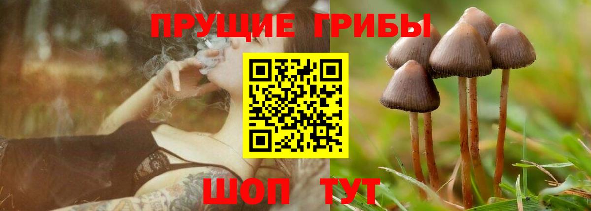 Псилоцибиновые грибы MAGIC MUSHROOMS  Вход с VPN  Казань 